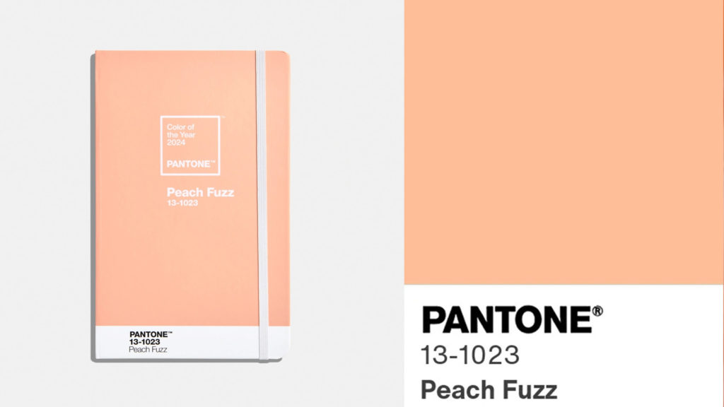 Pantone anuncia El color del año 2024: PEACH FUZZ 5 El color del año 2024, Peach Fuzz